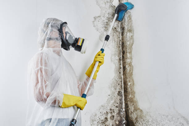 Water Damage Restoration in Vass, NC